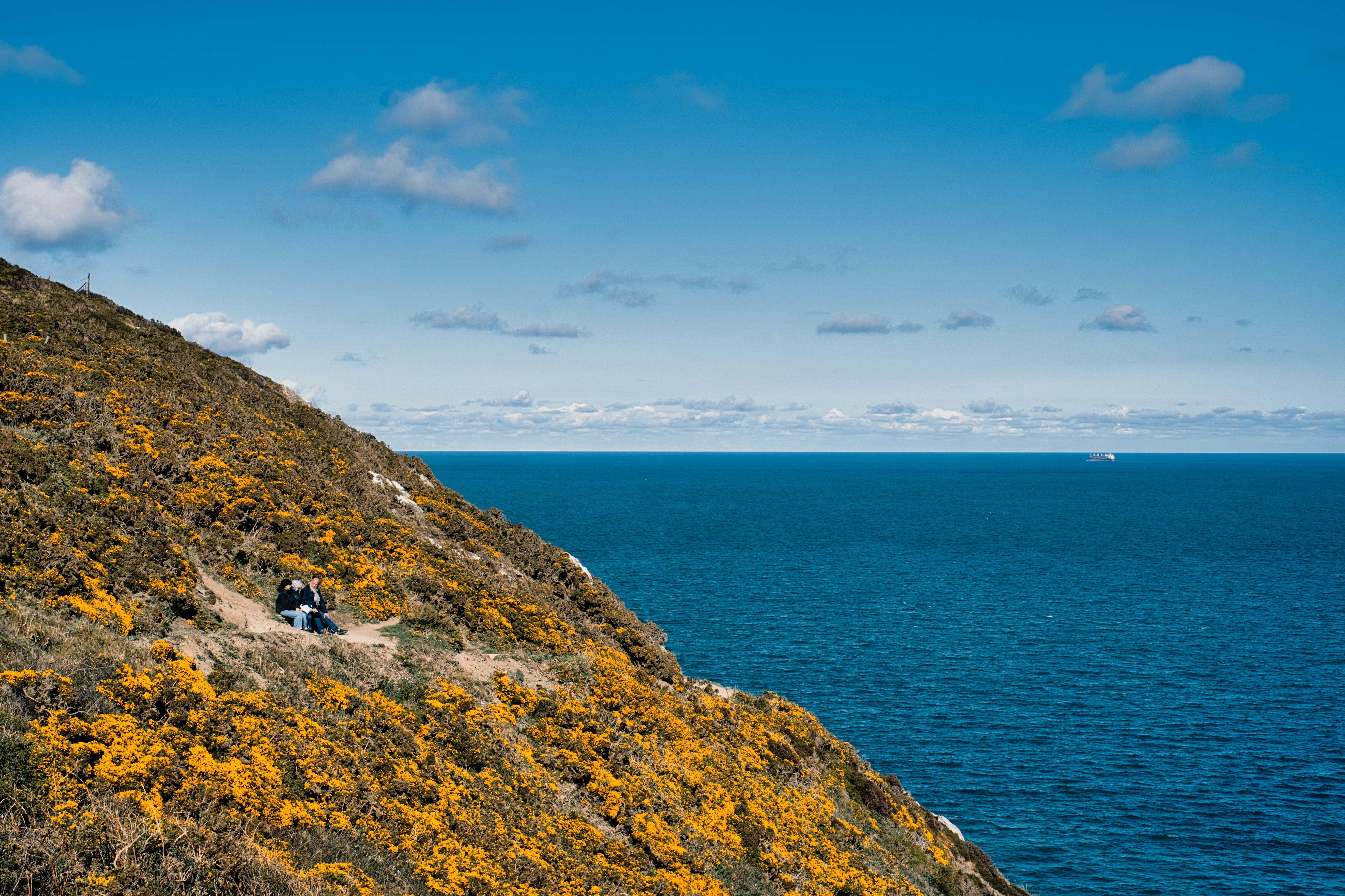 A couple of people sitting on top of a hill next to a body of water