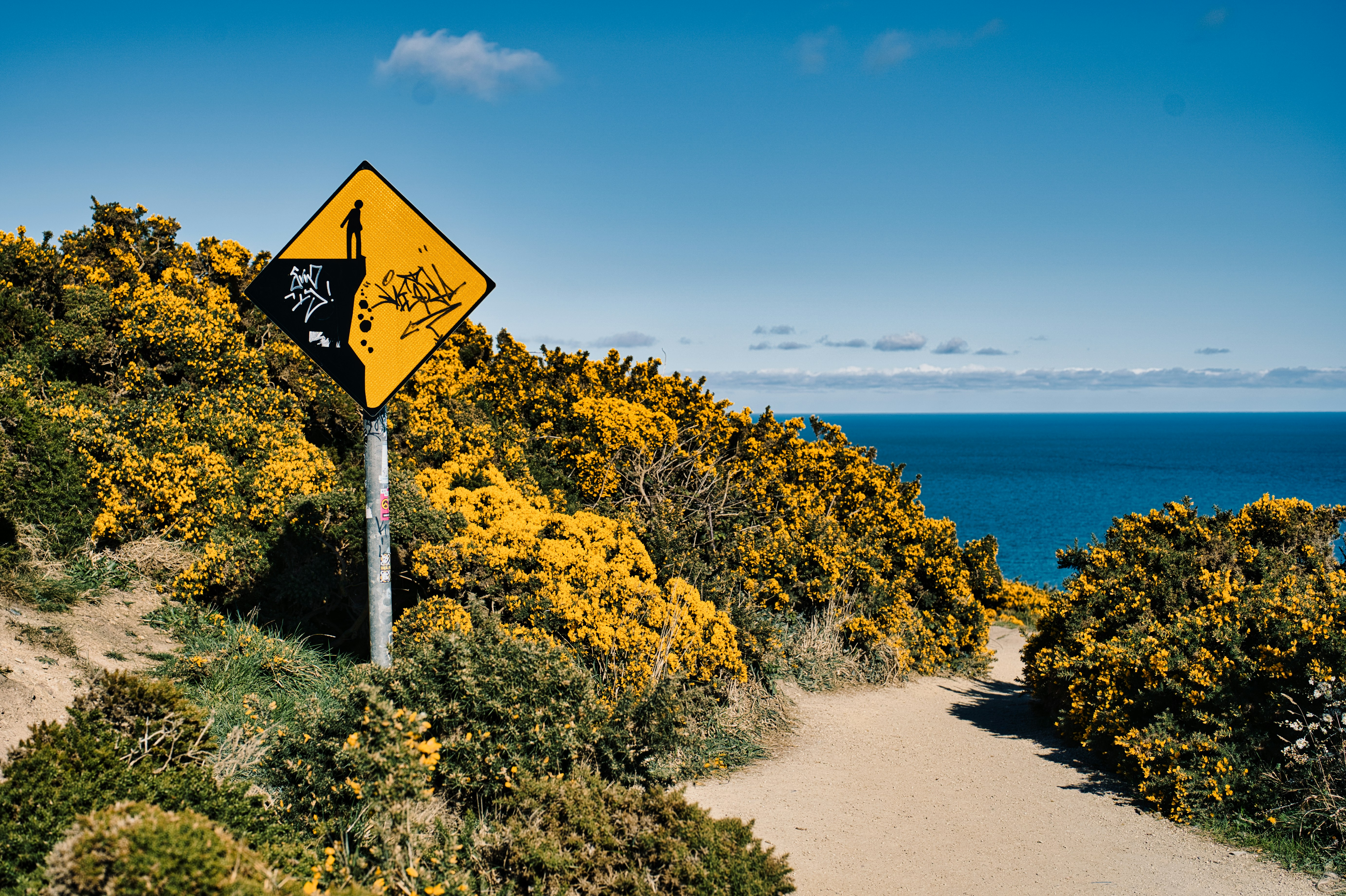 a yellow street sign sitting on the side of a lush green hillside