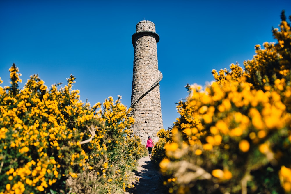 a stone tower surrounded by yellow flowers on a sunny day