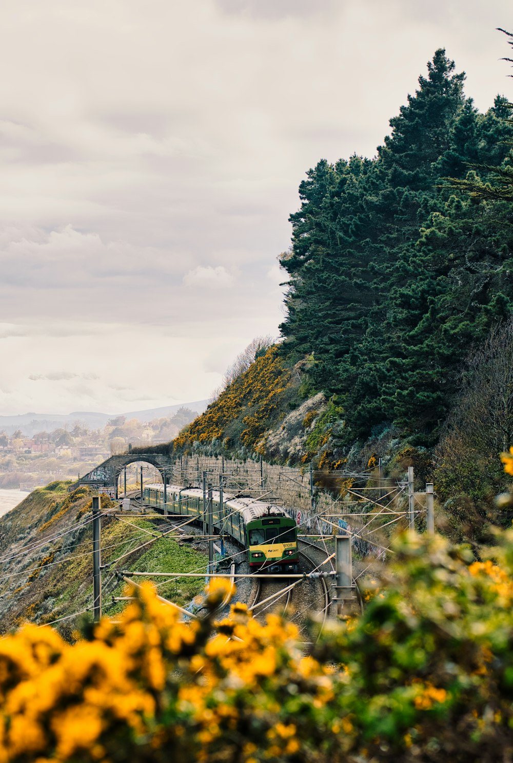 a train traveling down tracks next to a forest