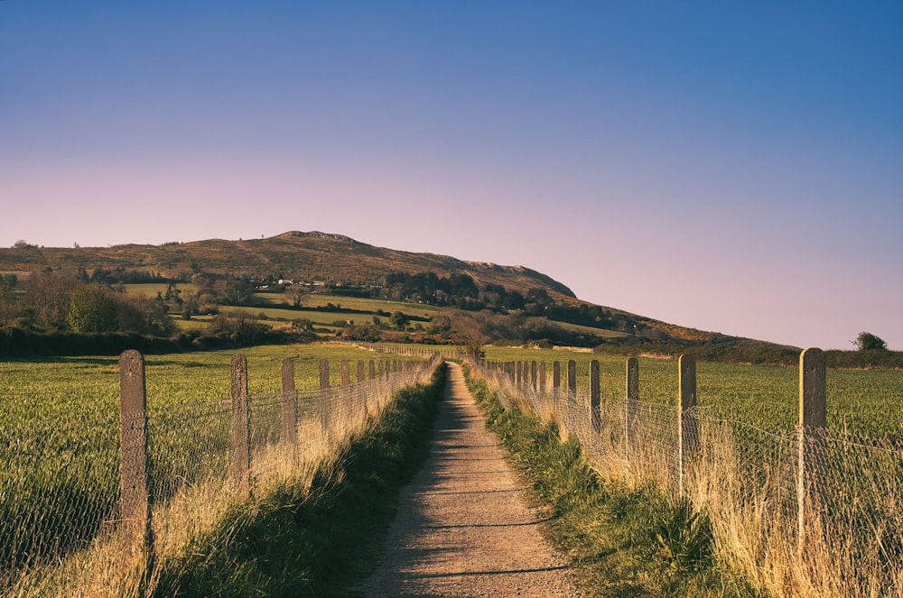 a dirt road going through a field next to a fence