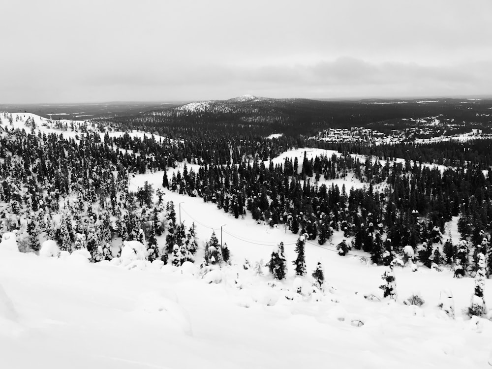 a black and white photo of a snow covered mountain