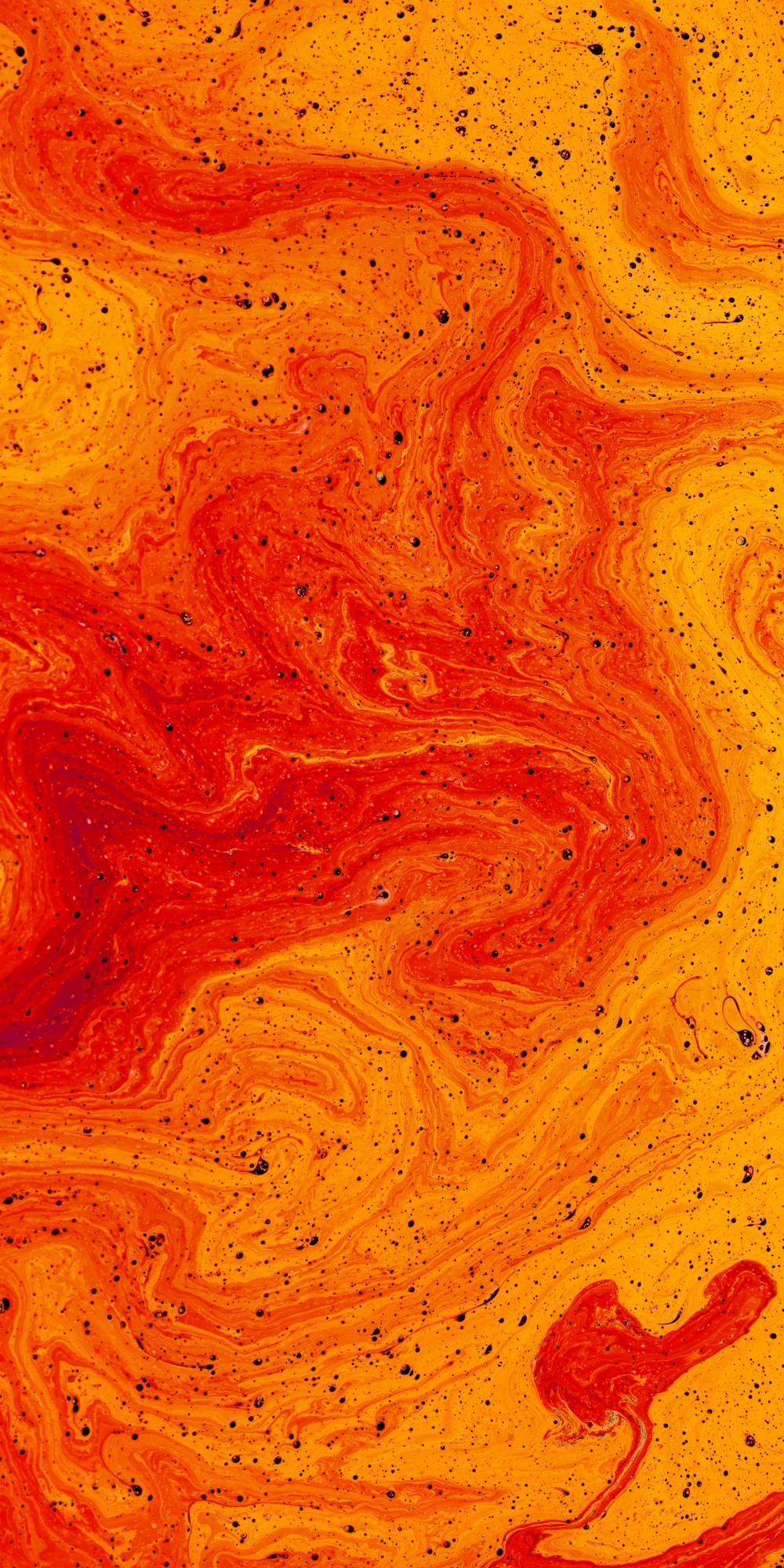 an orange and red substance with black speckles