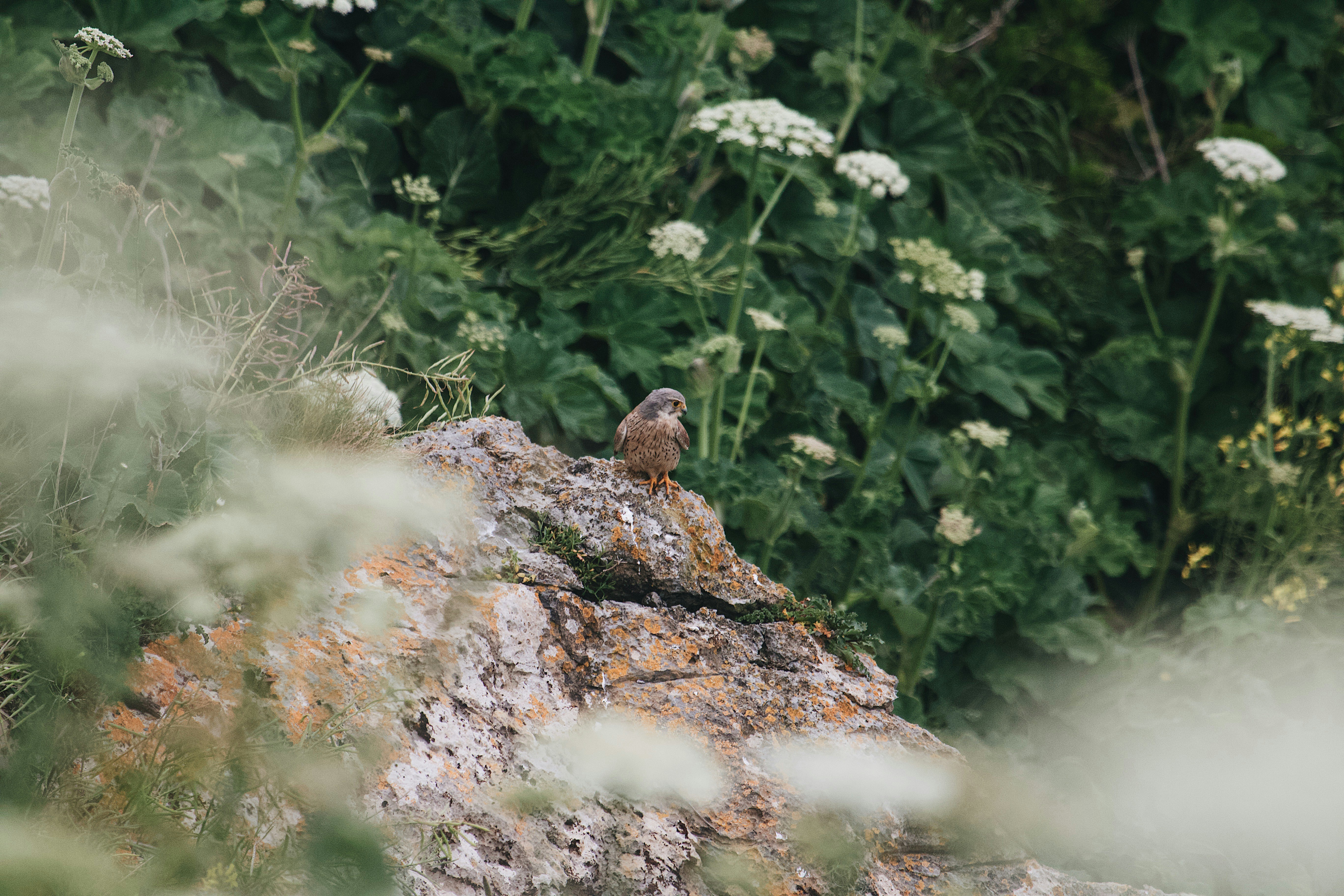 Photo by mael_balland