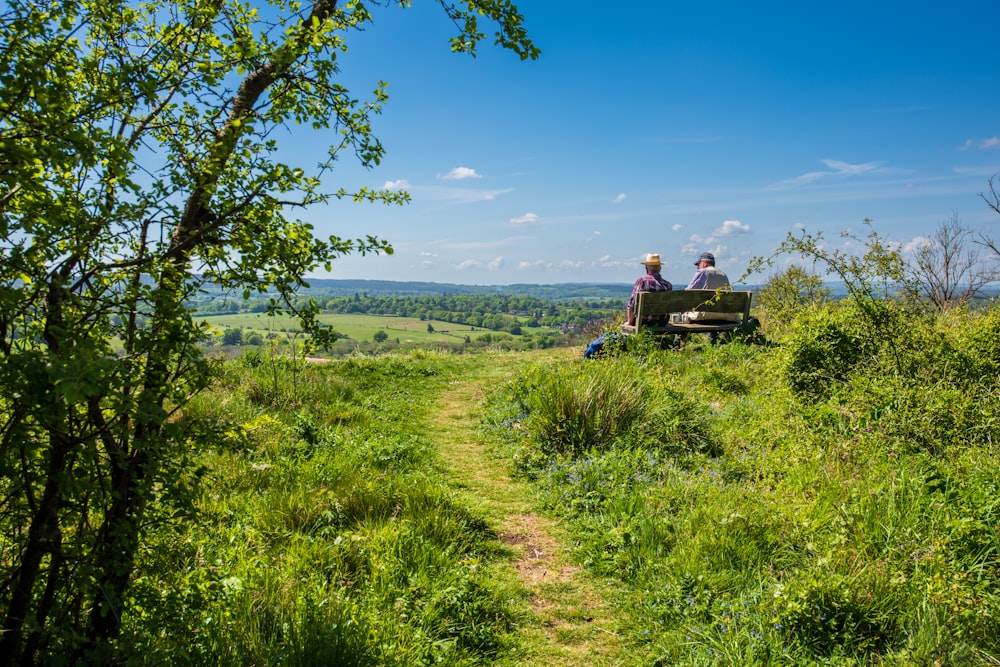 two people sitting on a bench on a grassy hill