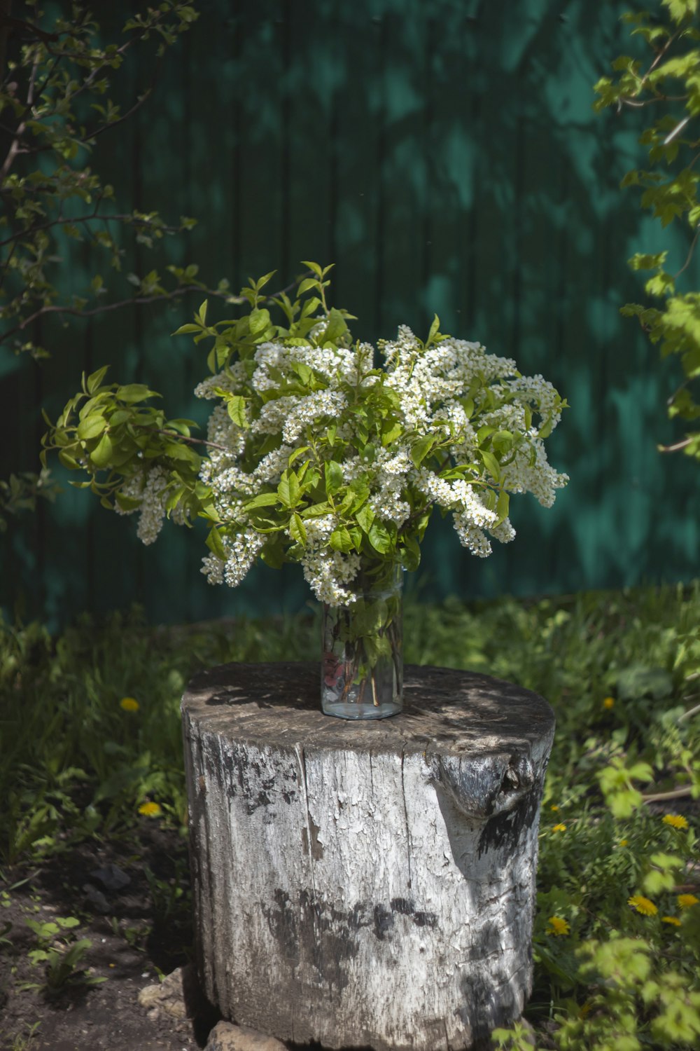 a vase of white flowers sitting on top of a tree stump