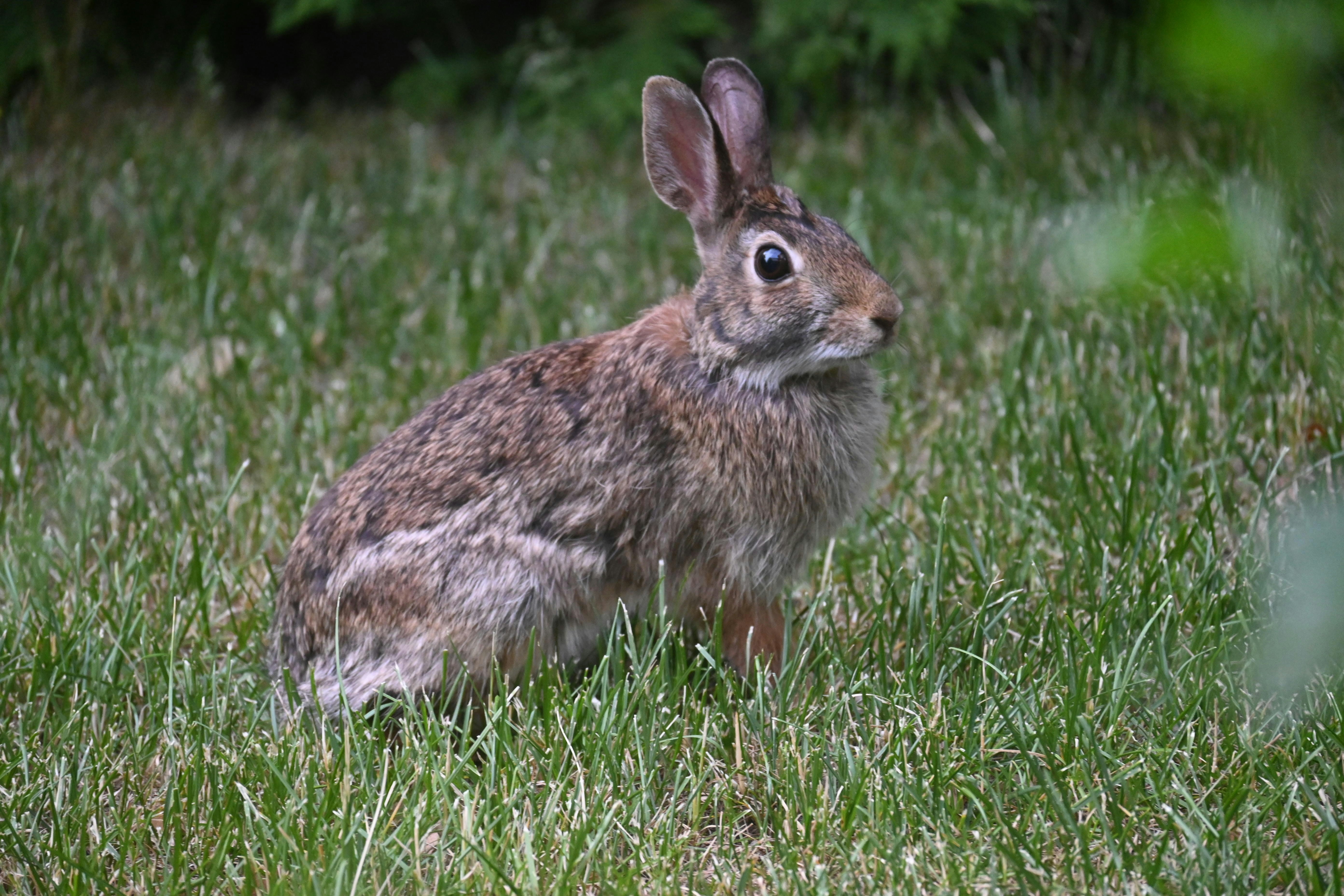 Photo by dafishmaster