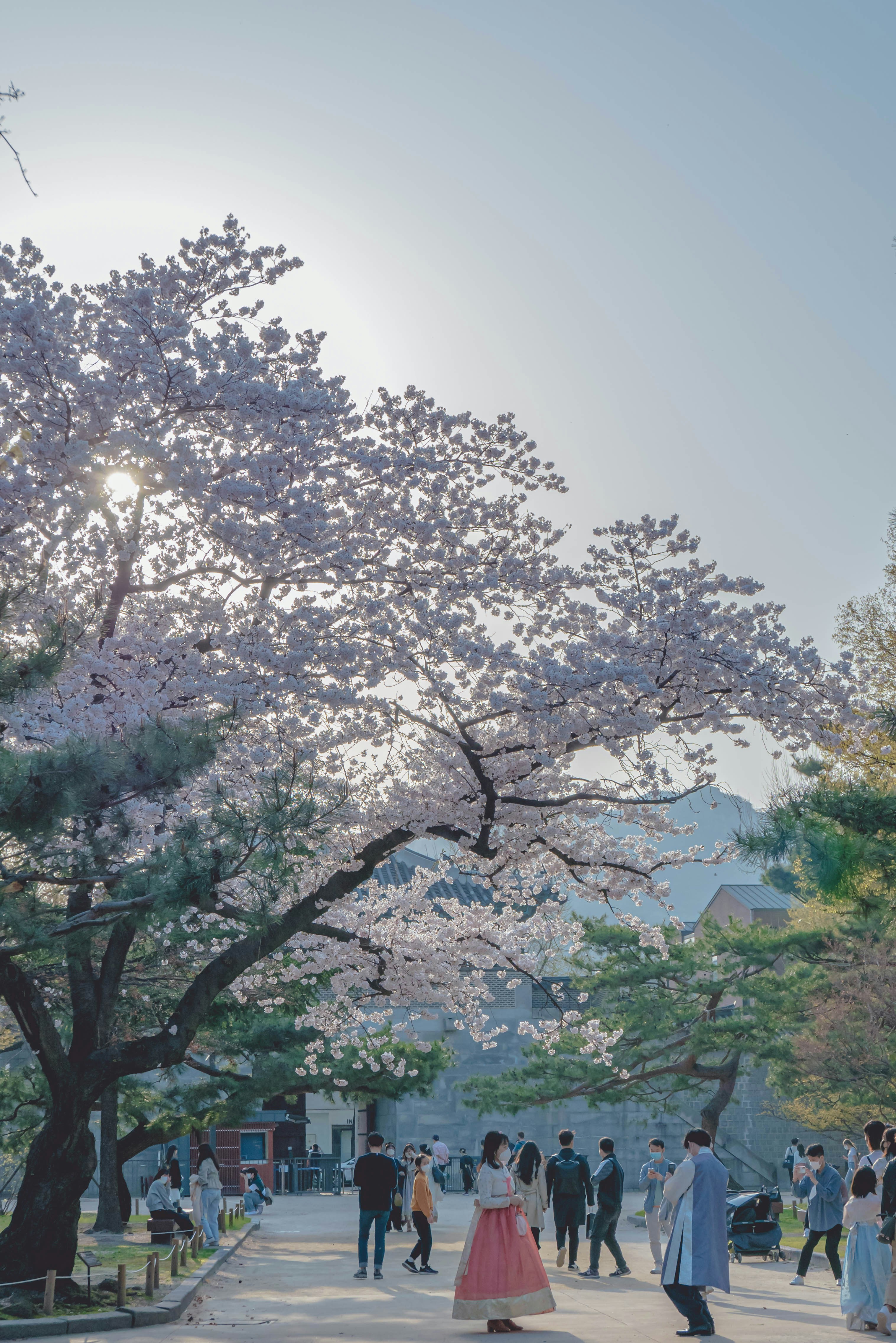 Photo by beyond_the_dream