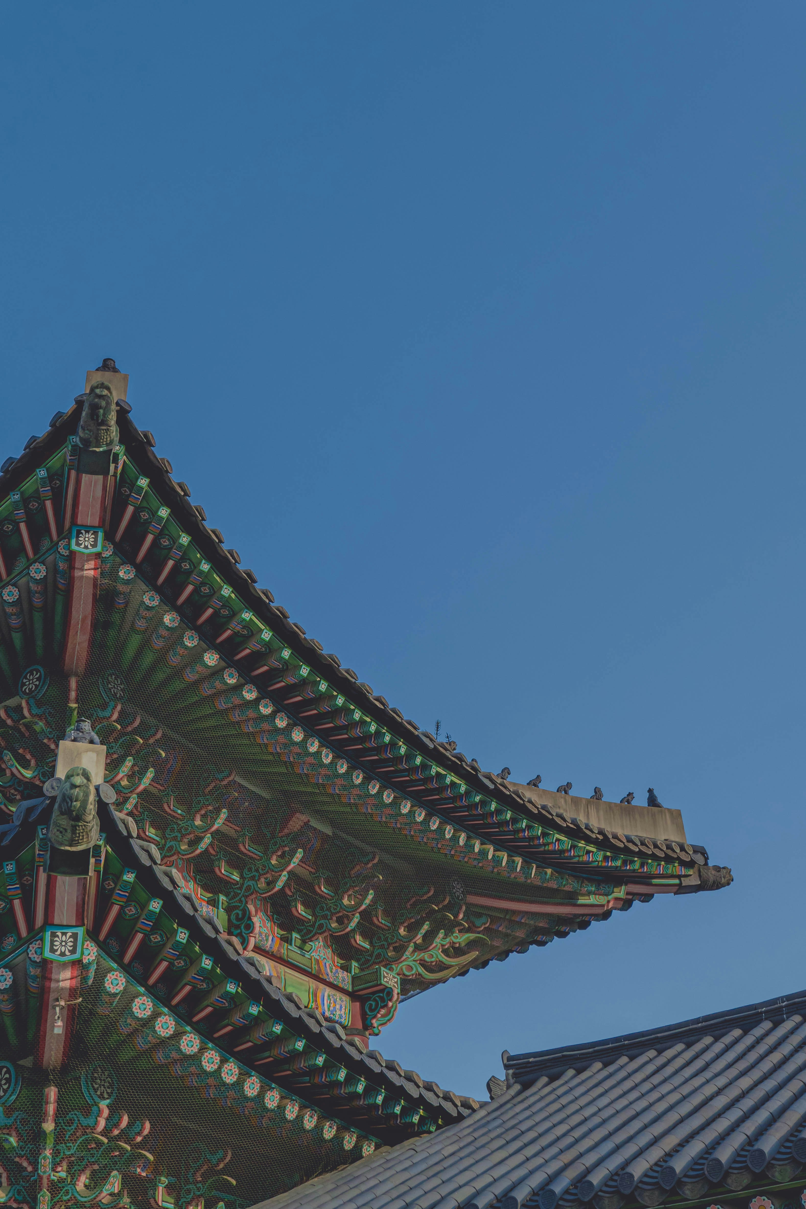 Photo by beyond_the_dream