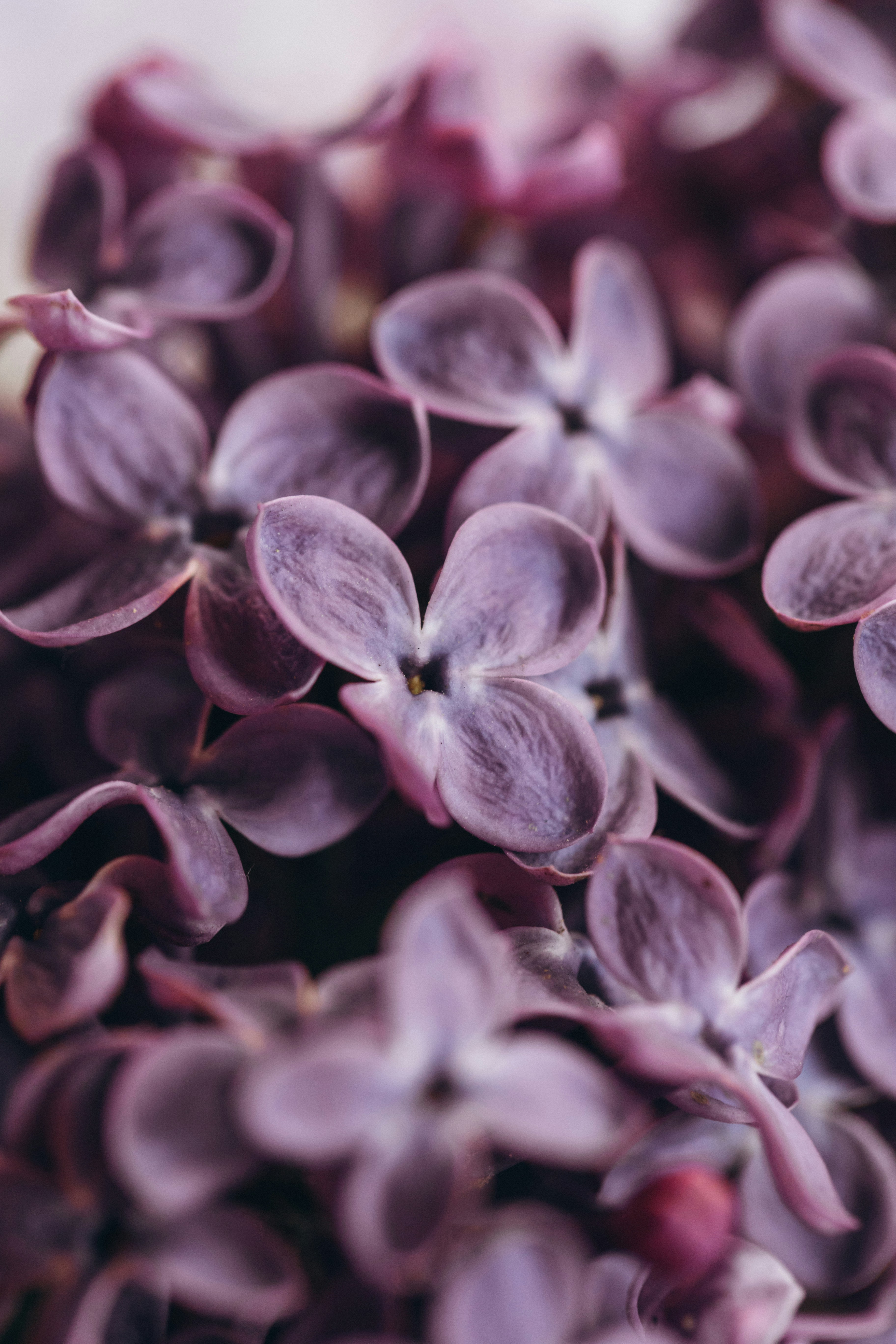 Photo by raspopovamarisha