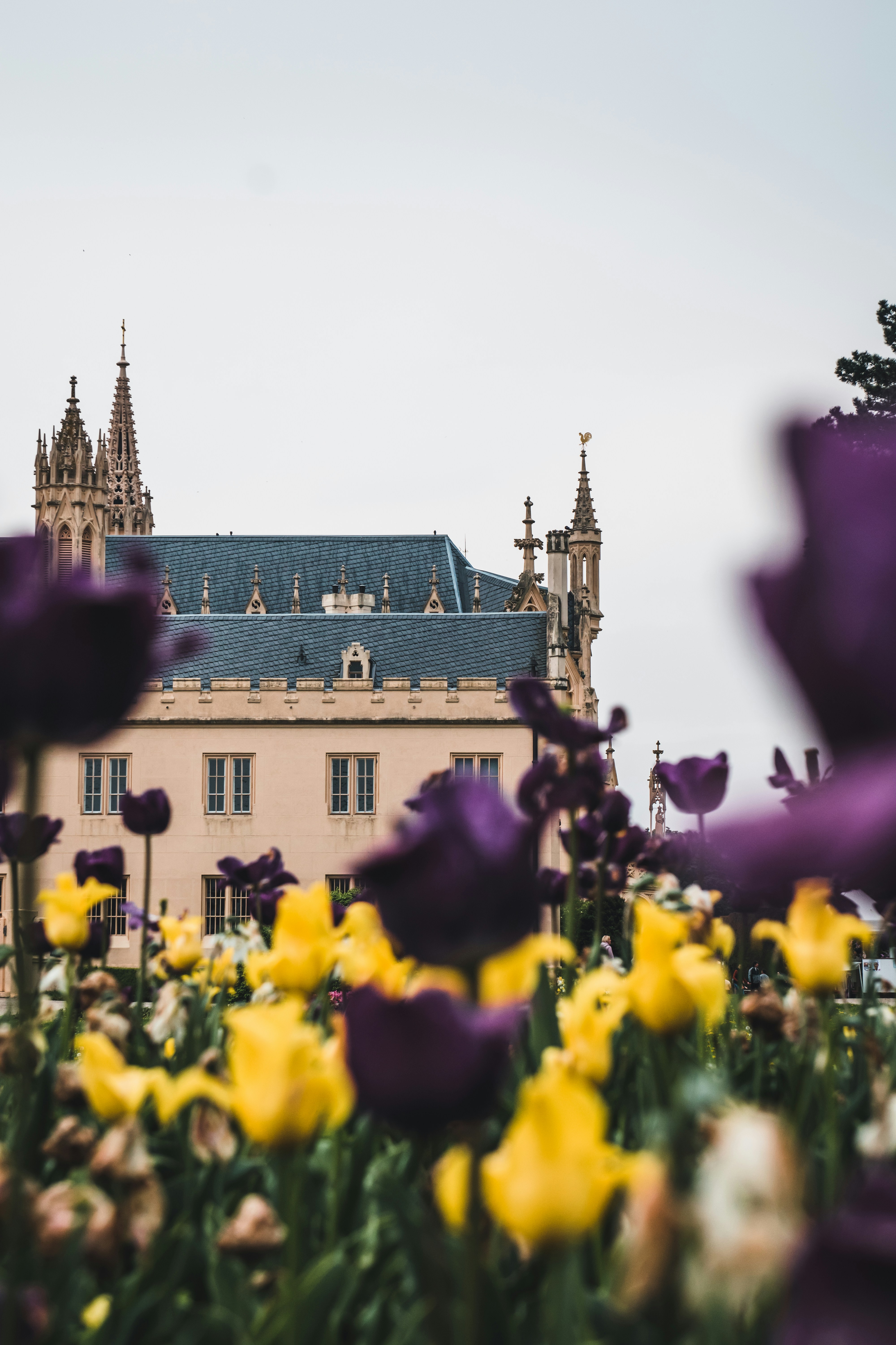 탑과 그 앞에 많은 꽃이있는 큰 건물