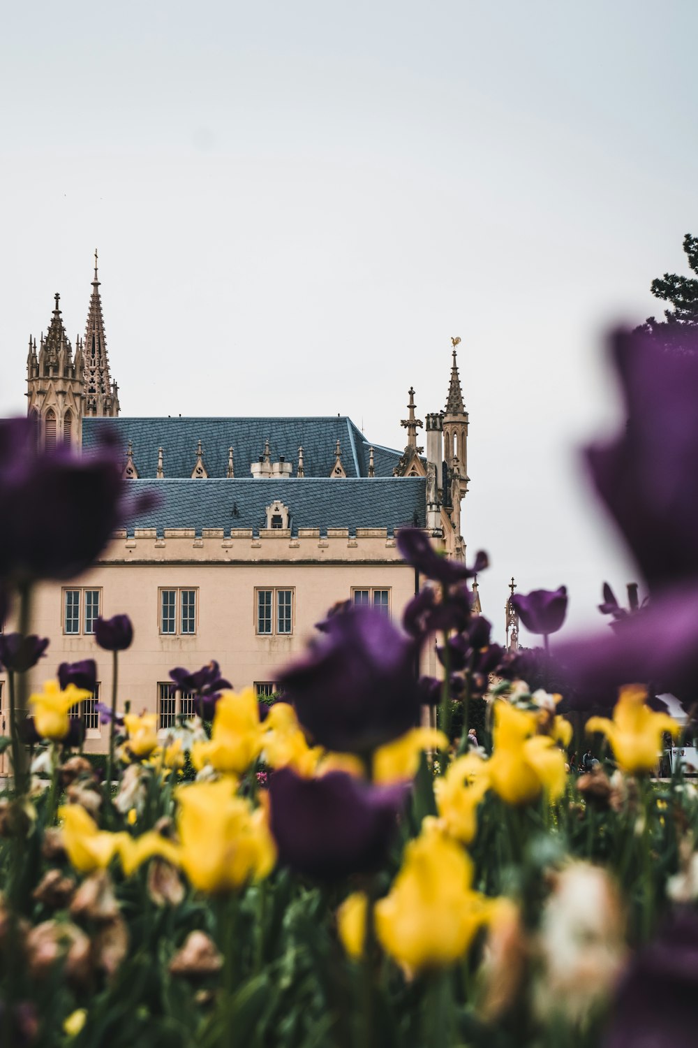 a large building with a tower and a lot of flowers in front of it