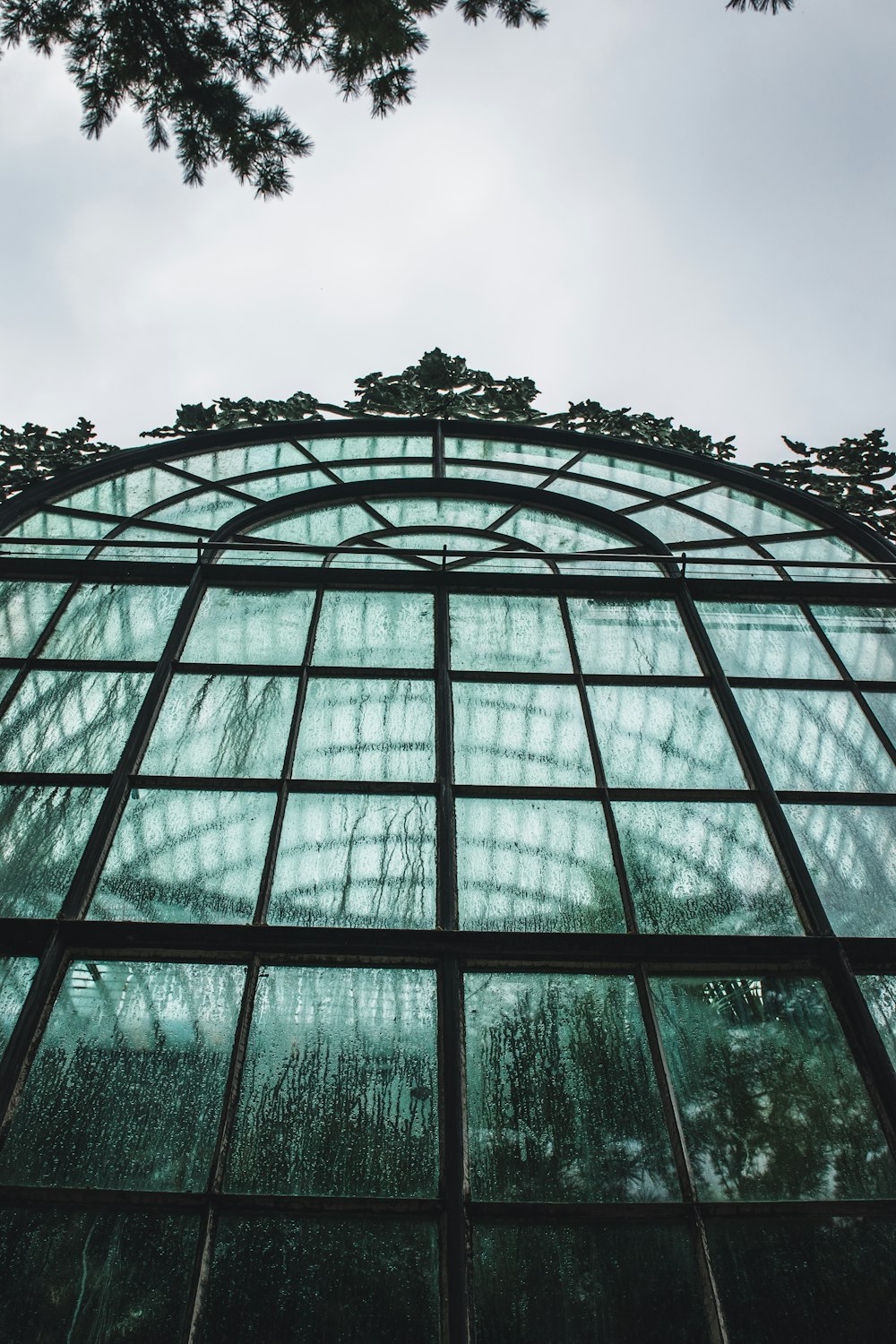 a tall glass building with a tree in the background