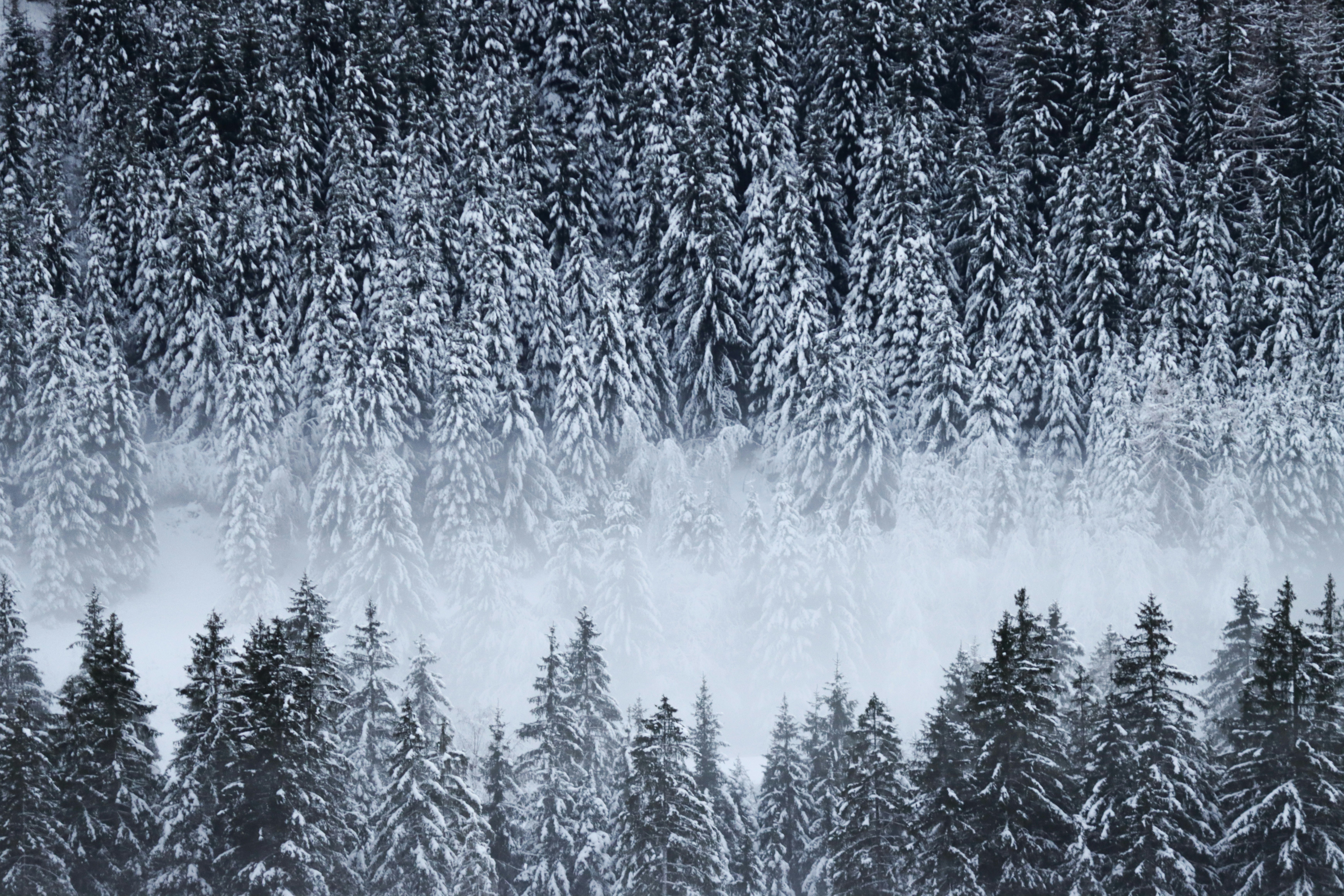 Photo by muenningmedia