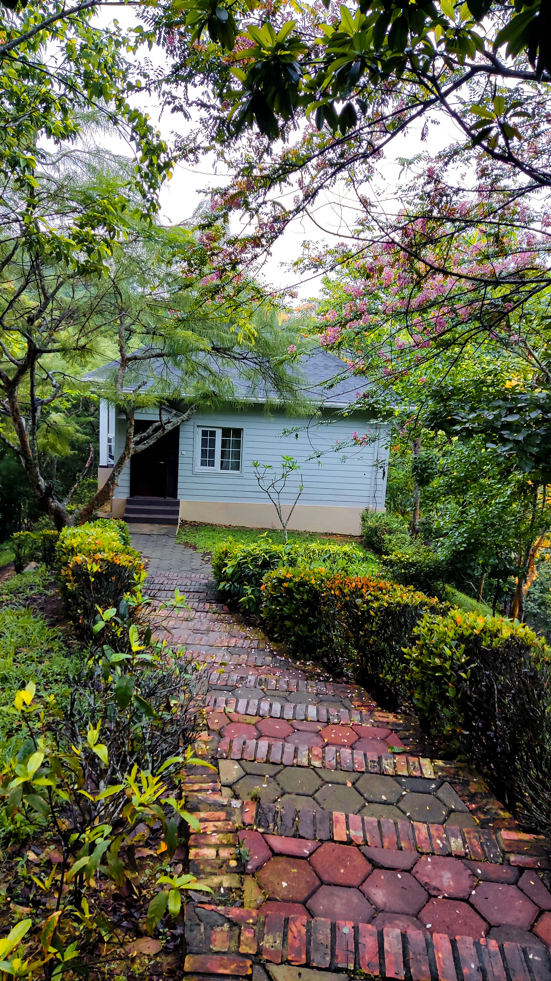 A charming front yard featuring a clean walkway bordered by colorful flowers and well-maintained landscaping.