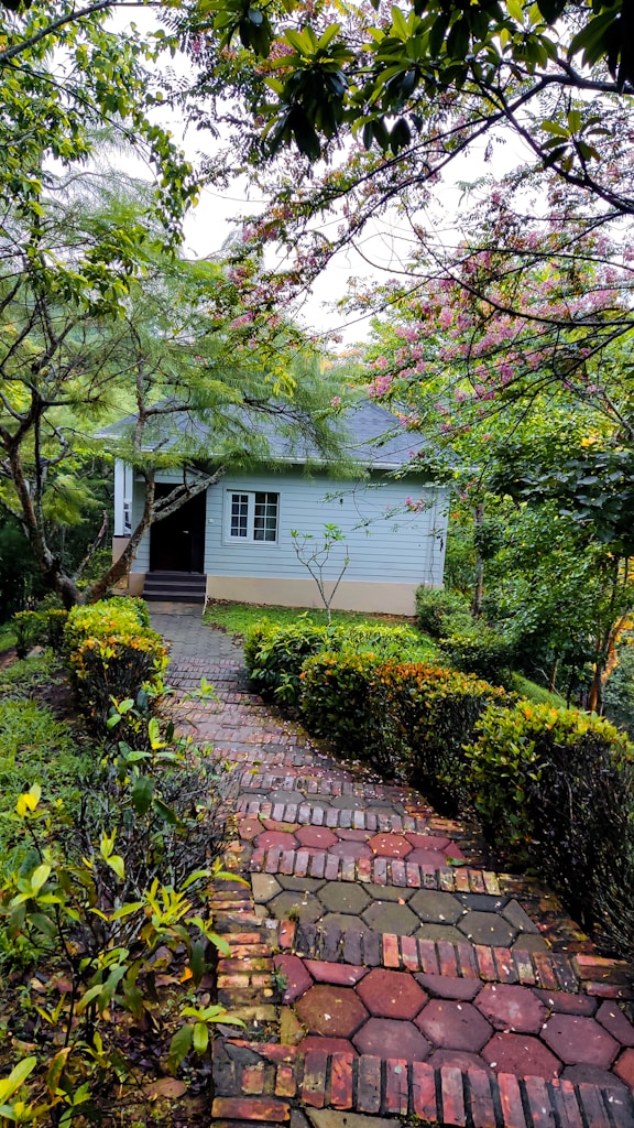 Comfortable Rental Living