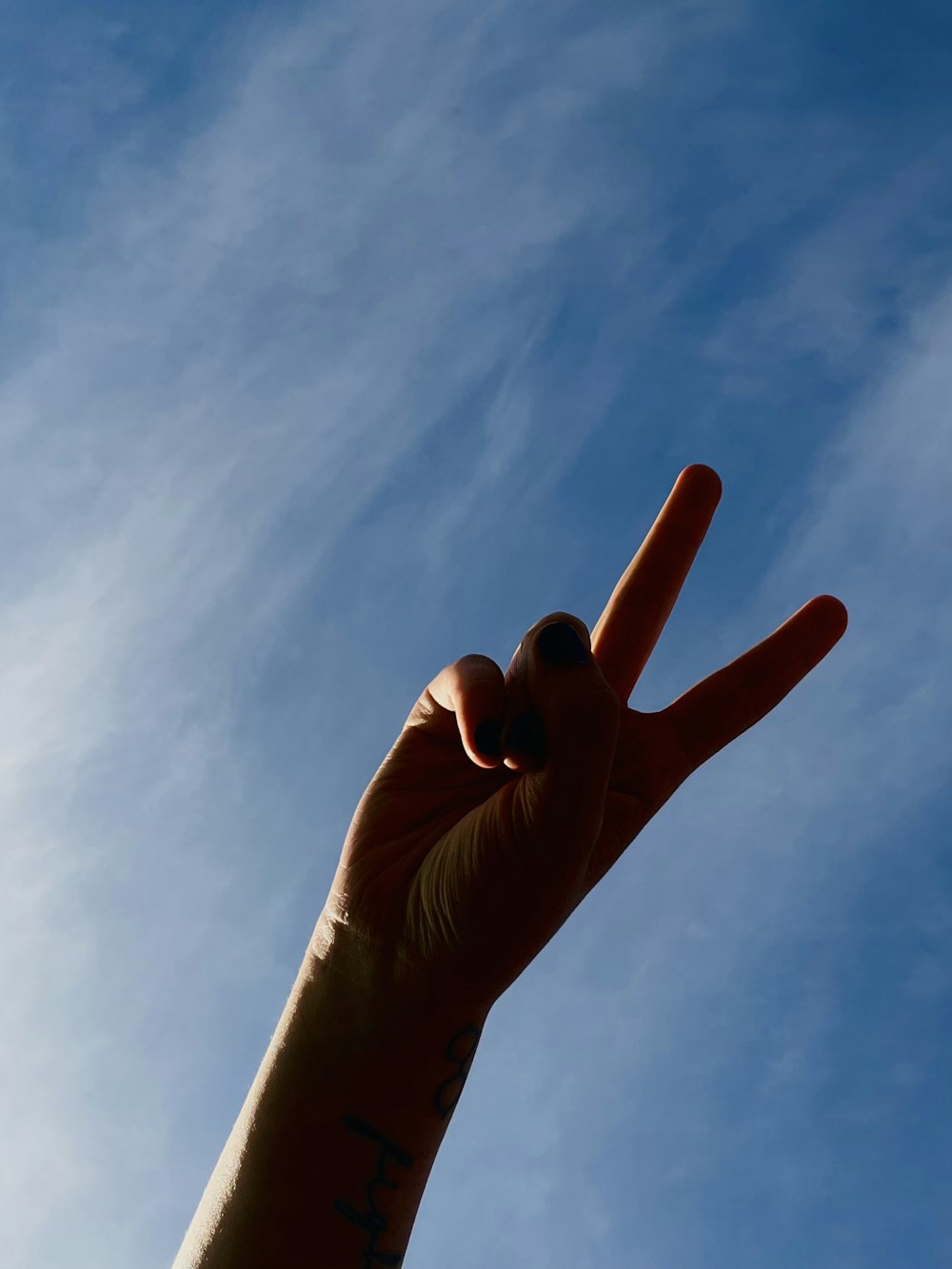 a hand holding up a peace sign in the air