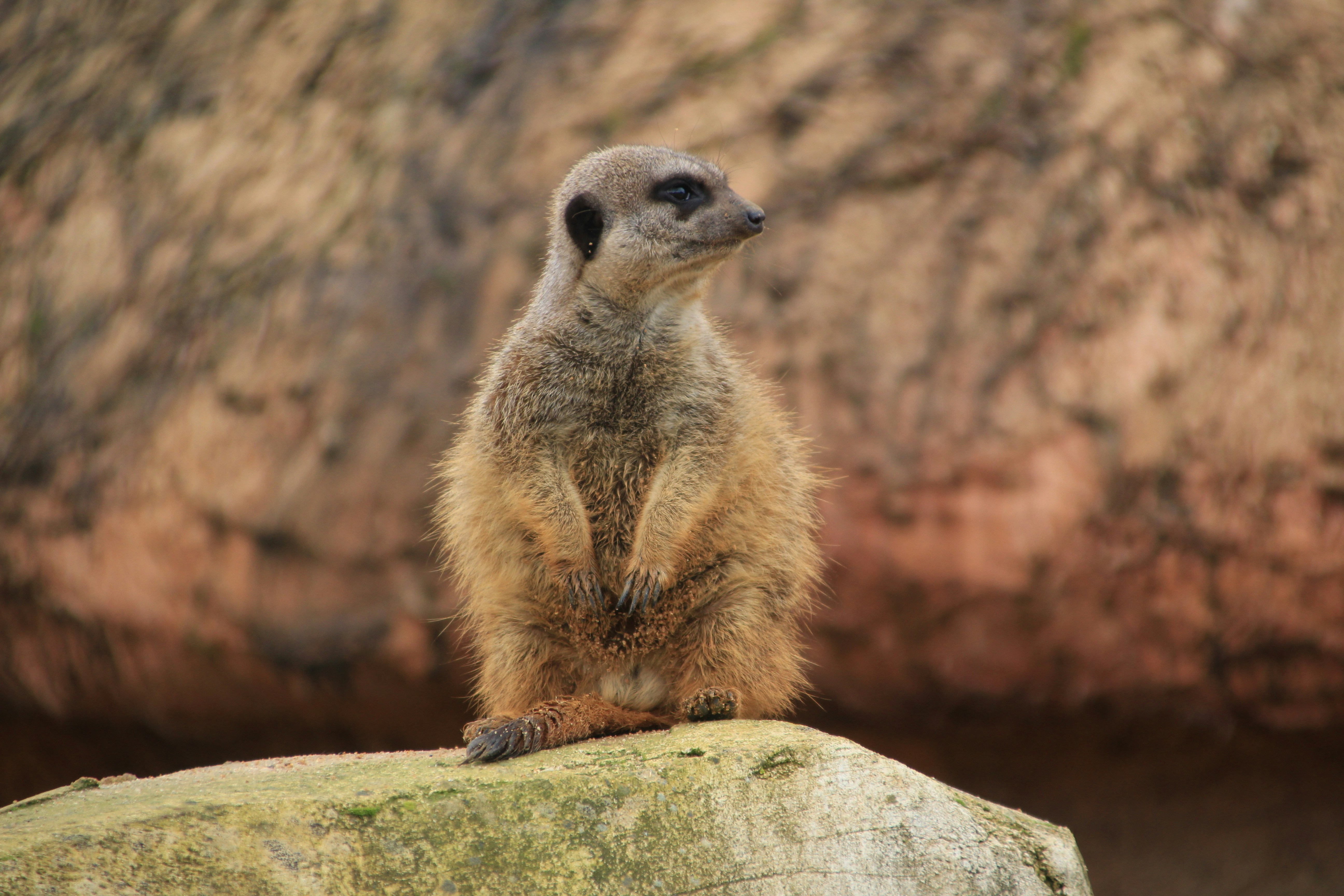 Photo by theophileub