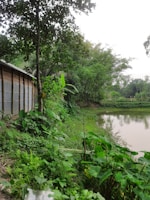 A serene outdoor setting featuring bamboo decor and plants.
