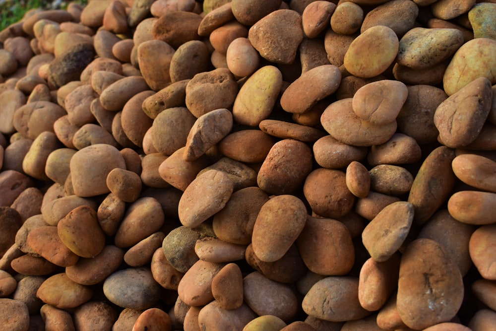 a pile of nuts sitting next to each other