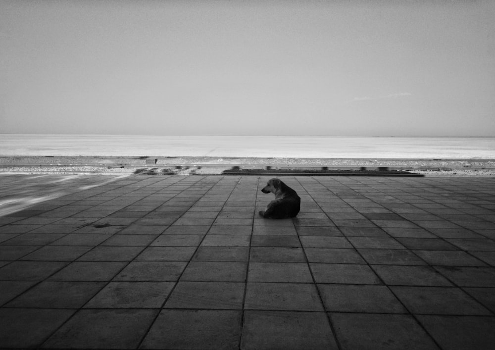 a black and white photo of a person sitting on the ground