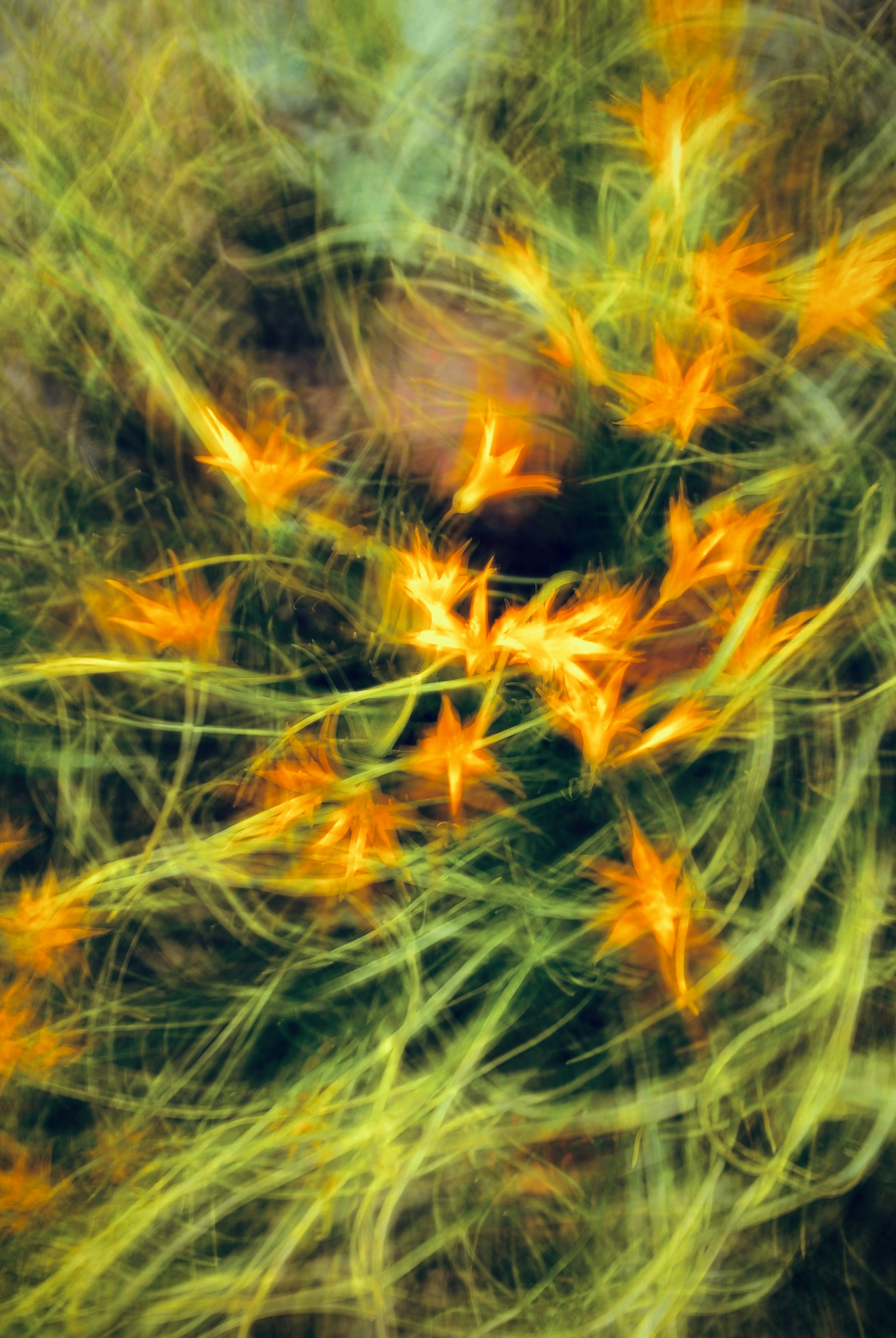 Photo by eugene_golovesov