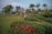 A vibrant garden with blooming flowers and neatly trimmed hedges.