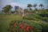 A neat strata complex garden with trimmed hedges and vibrant plants.