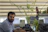A man in an office surrounded by plants, working on a laptop with a family tree displayed.
