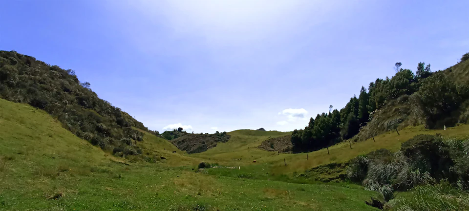 The image depicts a serene landscape with a large, open field covered in lush green grass that stretches out into the distance. The sky above is a clear blue, providing a beautiful backdrop to the scene. In the foreground, there are trees and bushes scattered throughout the field, adding depth and texture to the landscape. The perspective of the image suggests it was taken from a higher vantage point, offering a panoramic view of the expansive field and its surroundings.