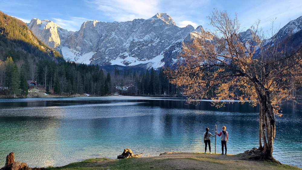 a couple of people standing next to a tree near a body of water