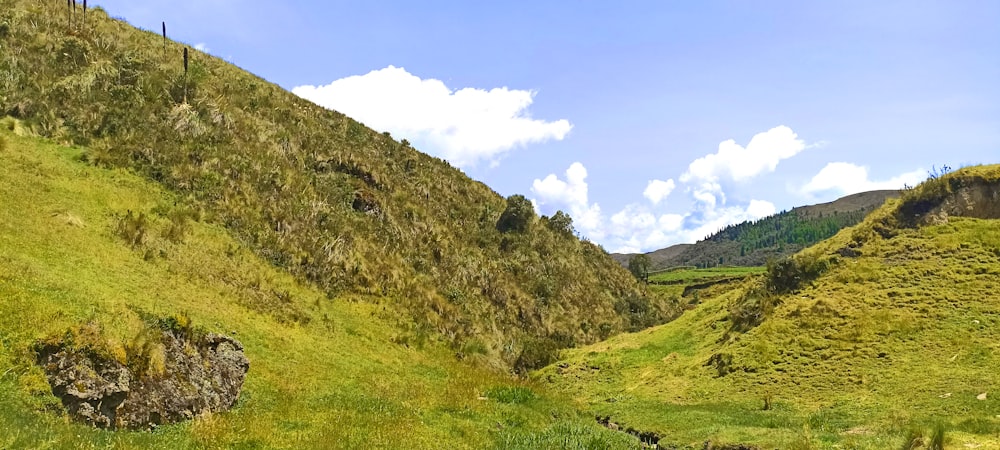 a lush green hillside covered in lush green grass