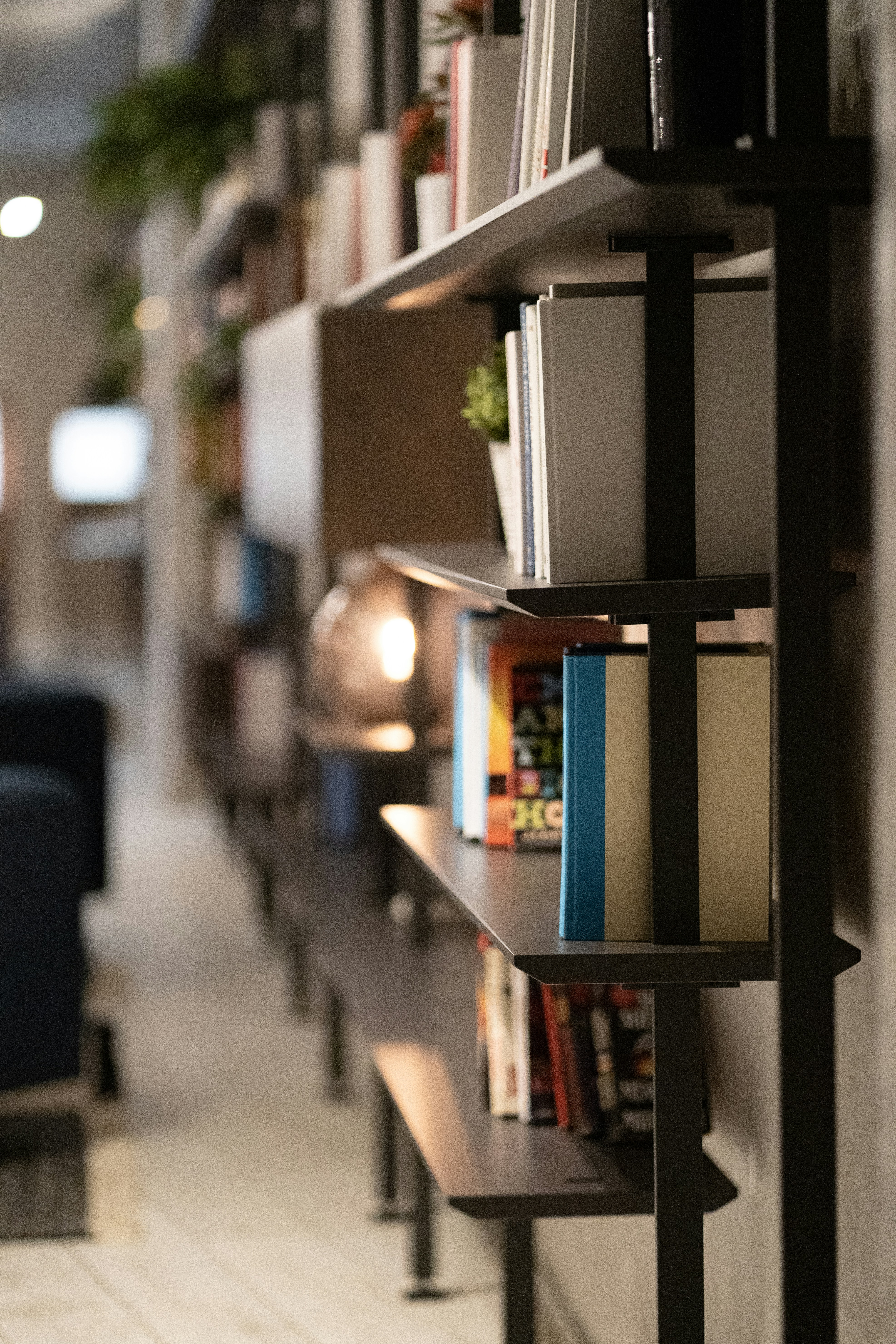 Photo by abhinav1bhardwaj