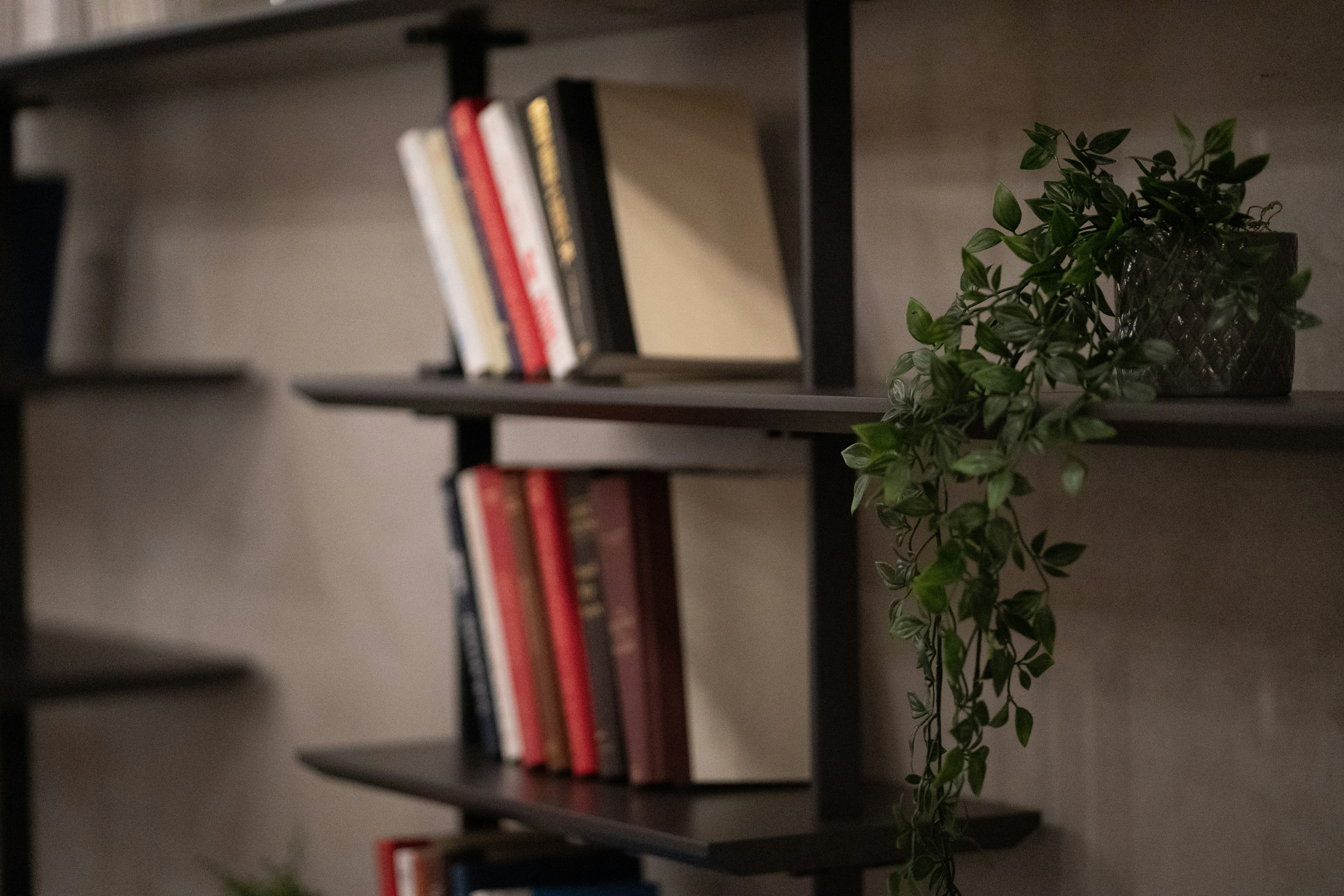 Photo by abhinav1bhardwaj