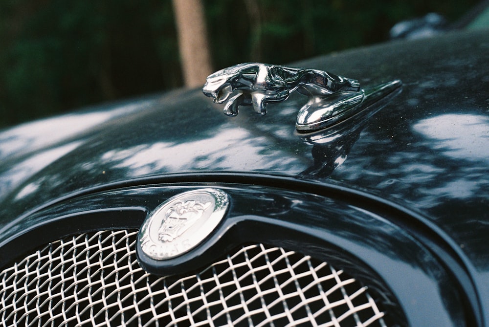 A close up of the hood ornament on a vintage car photo – Free Maryland  Image on Unsplash