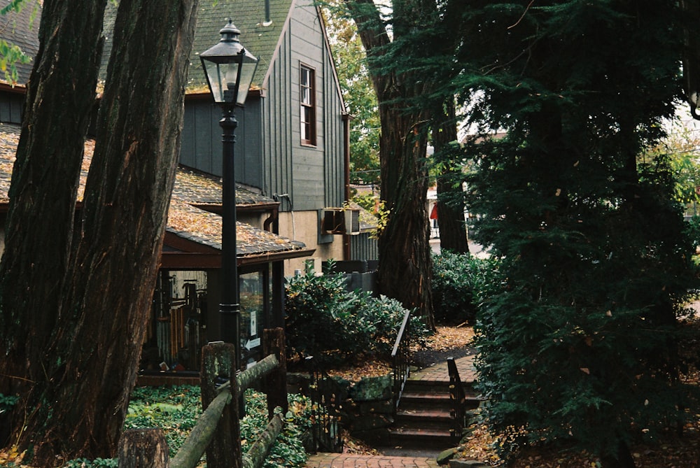 a house in the woods with stairs leading up to it