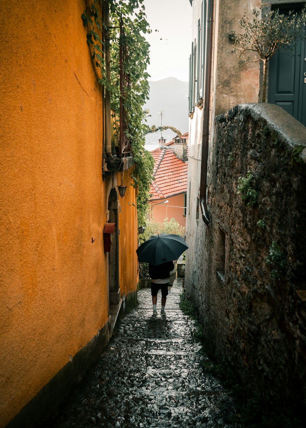 a person with an umbrella walks down a cobblestone street