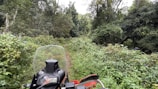 A motorcycle is parked on a narrow, overgrown dirt path surrounded by lush, dense forest. The vibrant green foliage engulfs the area, with tall trees and various undergrowth creating a natural tunnel. The scene is peaceful and adventurous, hinting at exploration through a wild landscape.