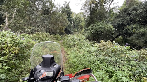 A motorcycle is parked on a narrow, overgrown dirt path surrounded by lush, dense forest. The vibrant green foliage engulfs the area, with tall trees and various undergrowth creating a natural tunnel. The scene is peaceful and adventurous, hinting at exploration through a wild landscape.