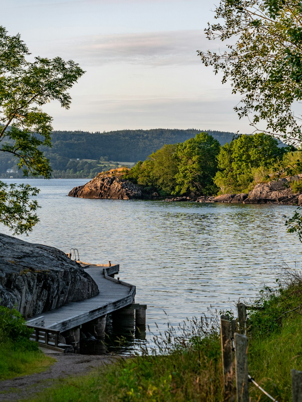 a body of water surrounded by a forest