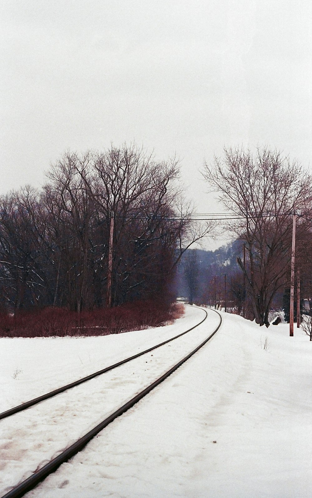 雪に覆われた森の中を走る線路