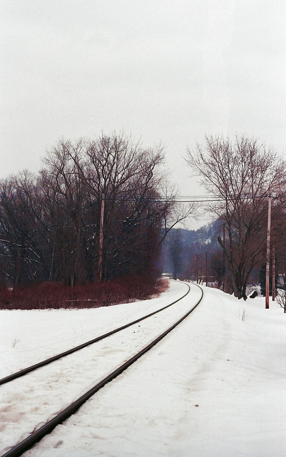 a train track running through a snow covered forest