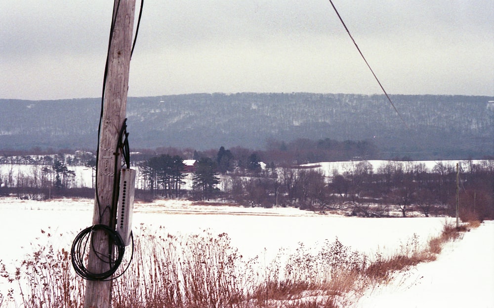 a snow covered field with a telephone pole in the foreground