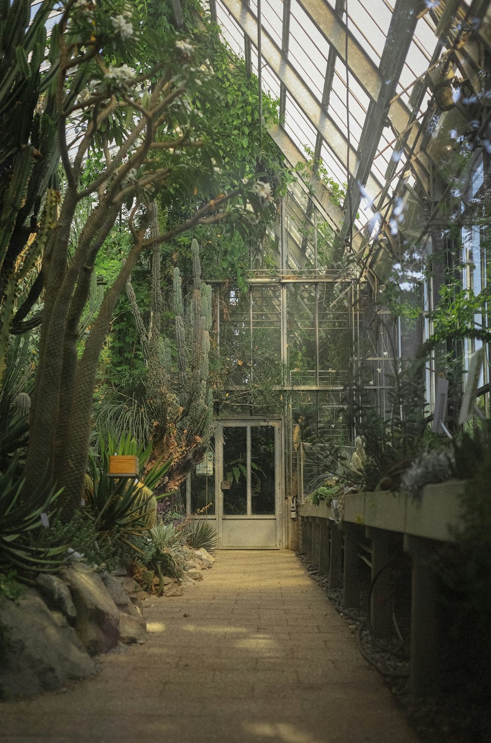 a walkway in a greenhouse with lots of plants