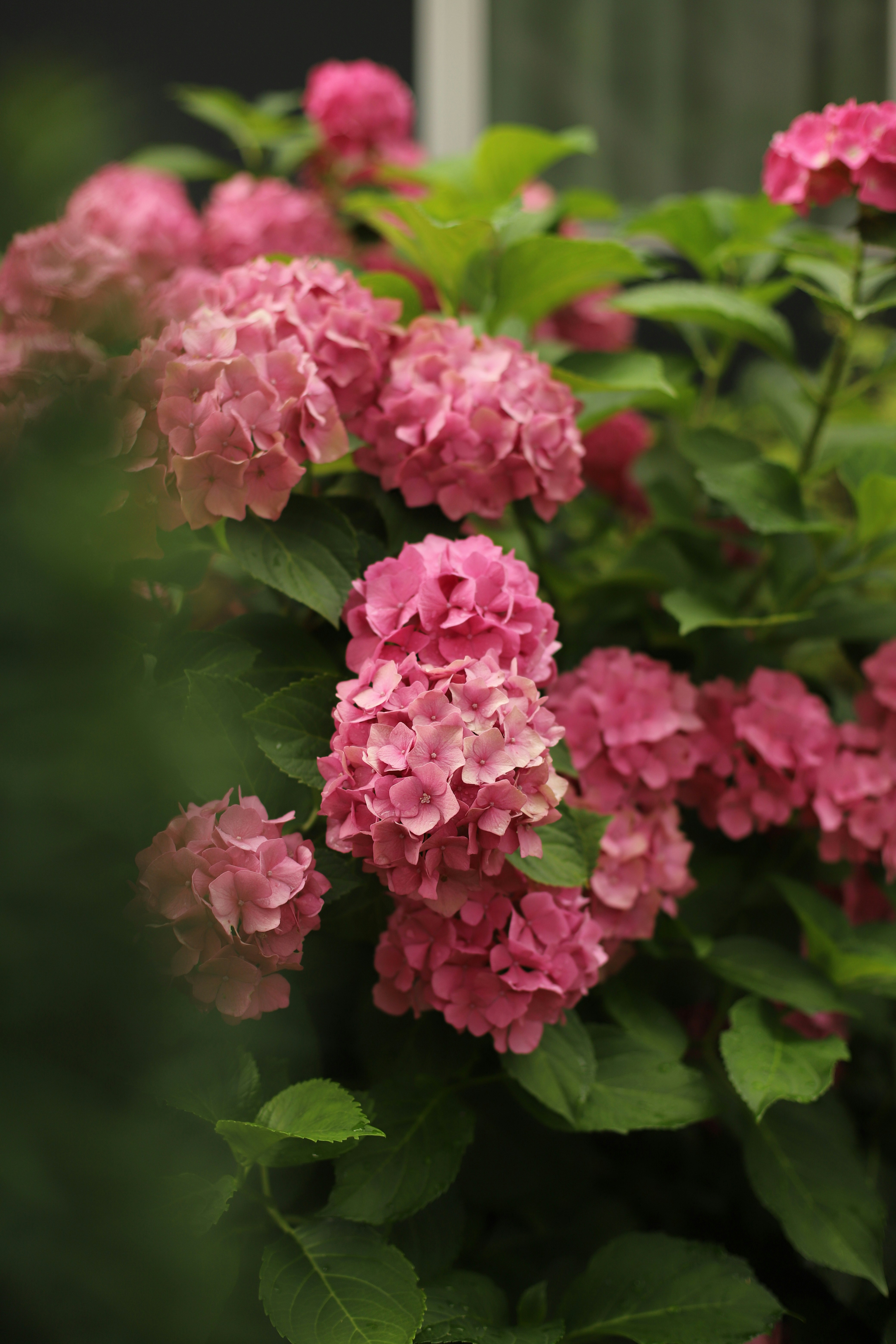 Photo by mykhailokopyt