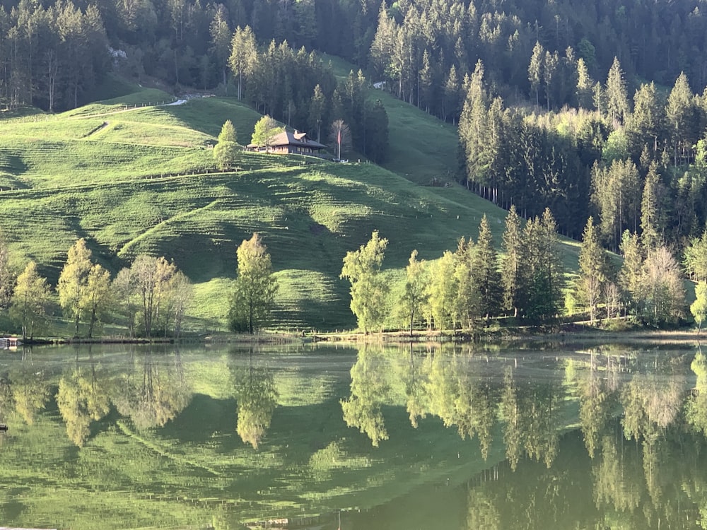 a lake surrounded by a lush green hillside