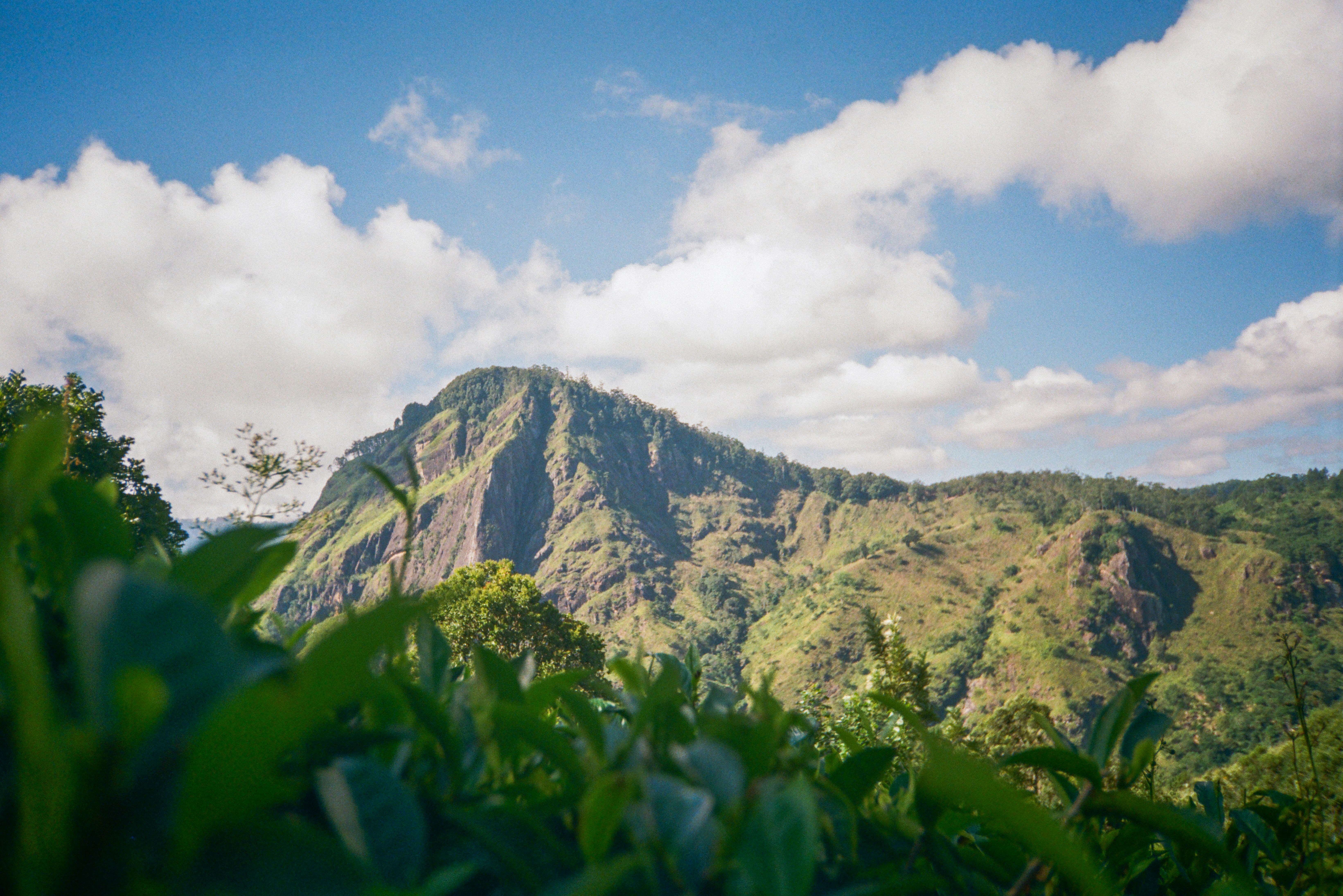 Photo by voloshchenkoal