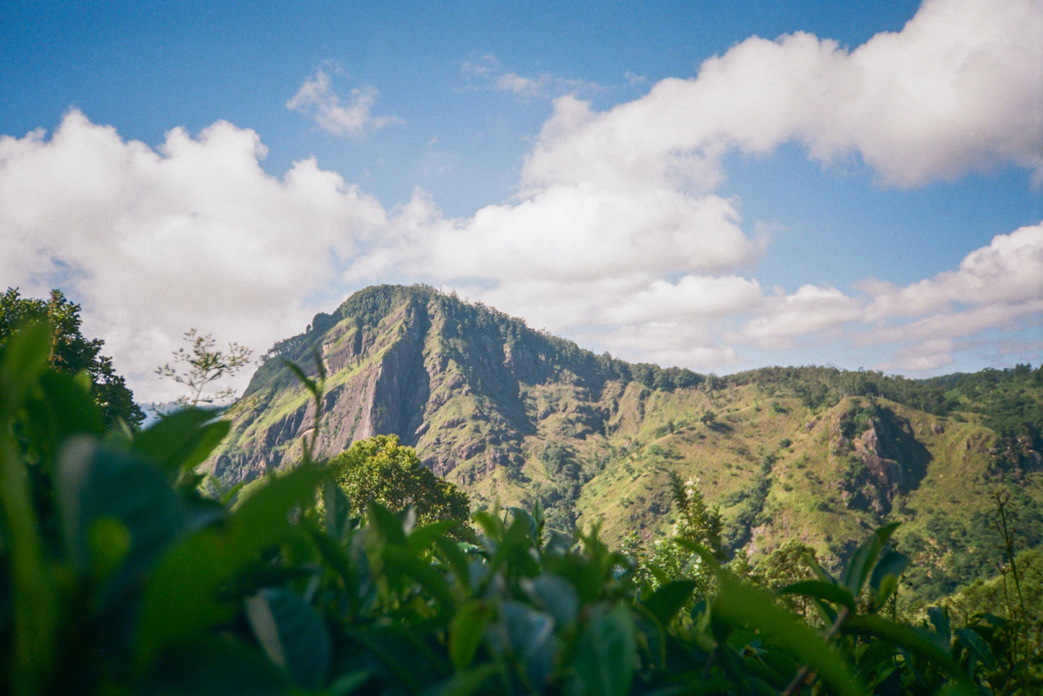 Green mountain view from Little Adam's Peak near Ella