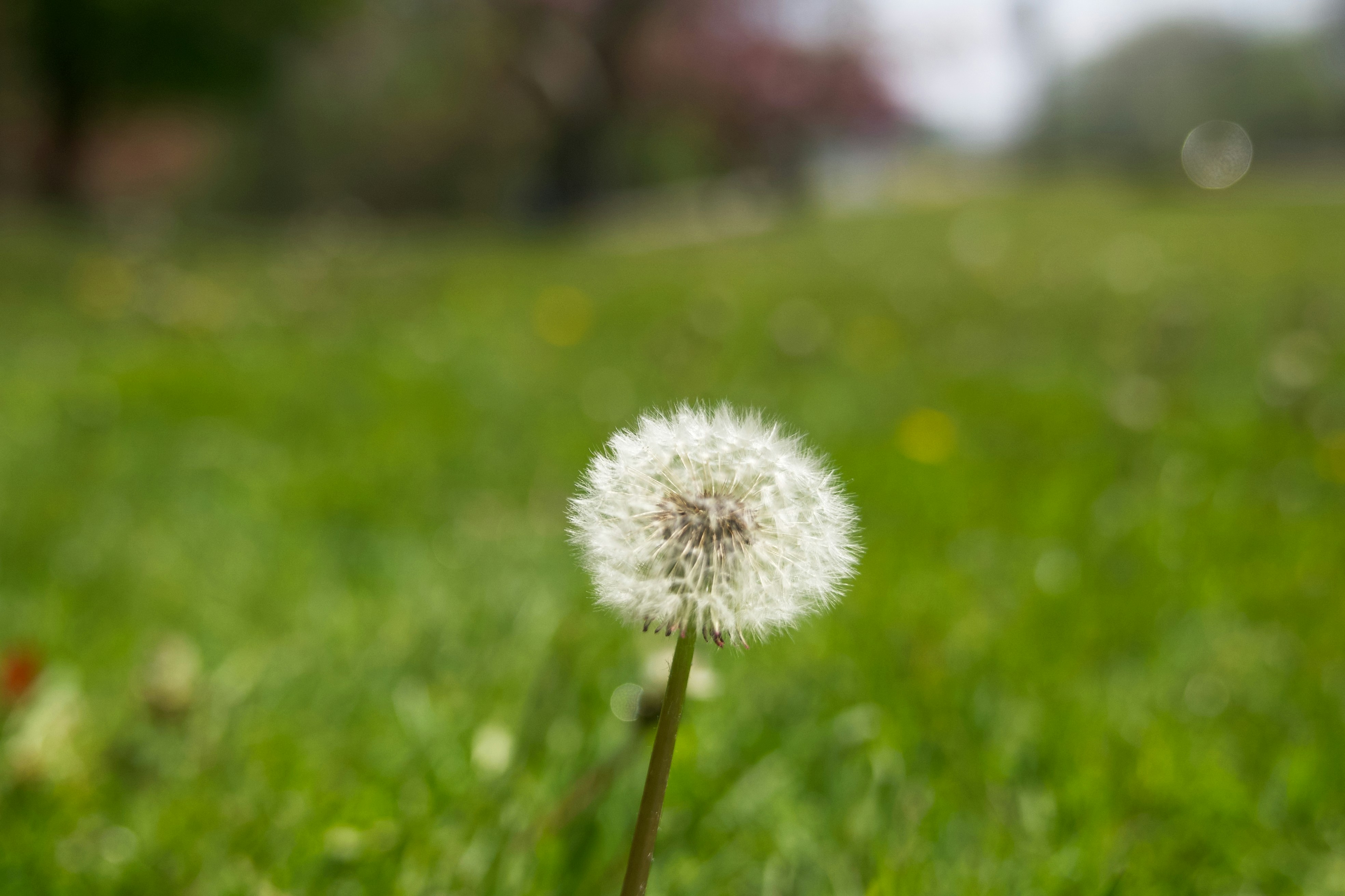 Photo by ycbrphotography