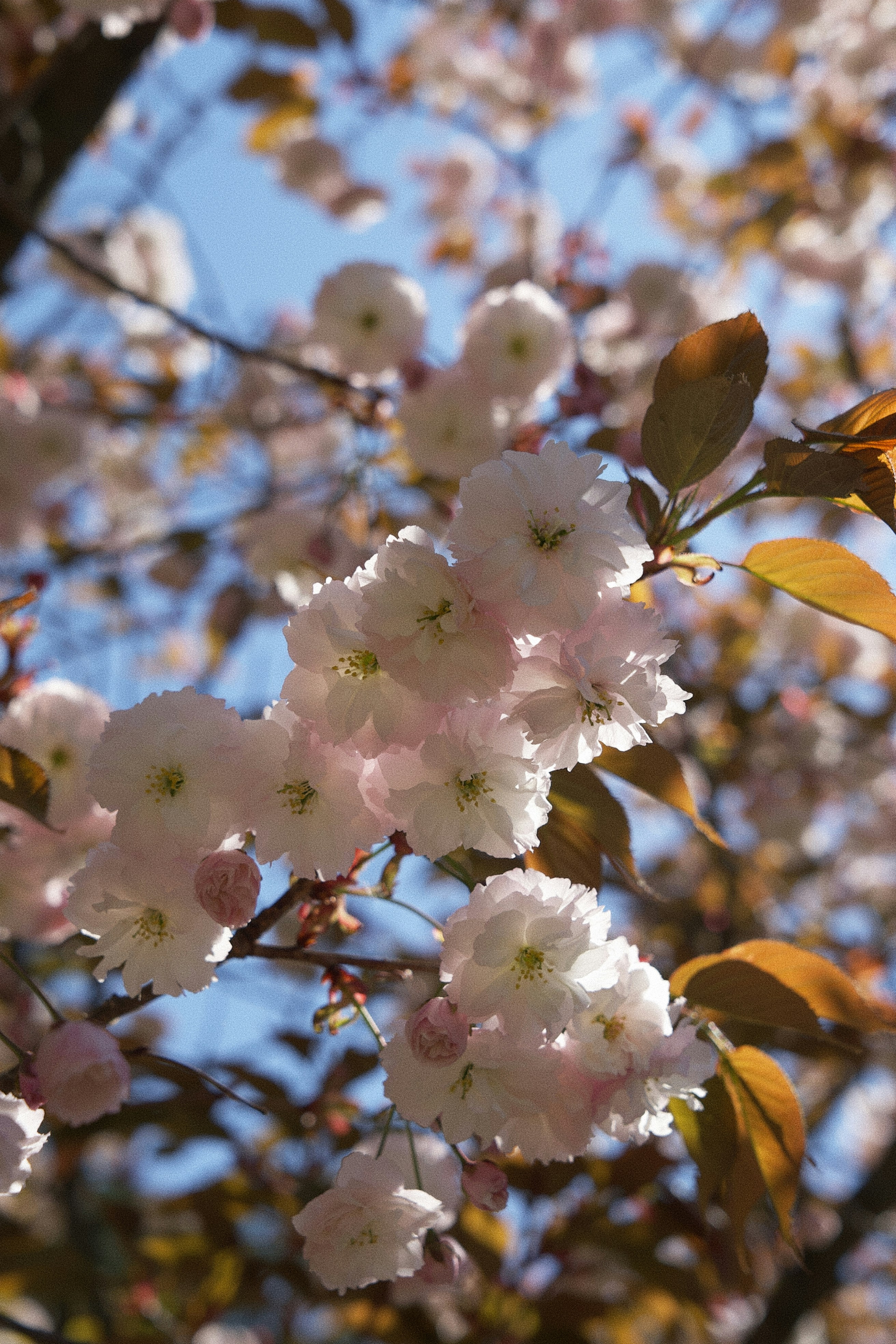 Photo by ycbrphotography